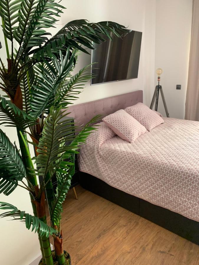 Loft De Lujo Con Piscina La Envia Apartment Vícar Екстериор снимка
